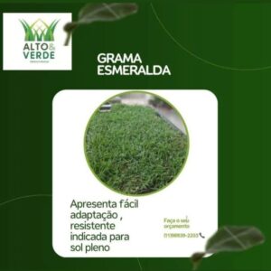 Grama Esmeralda