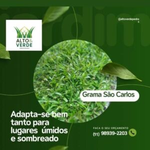 Grama São Carlos