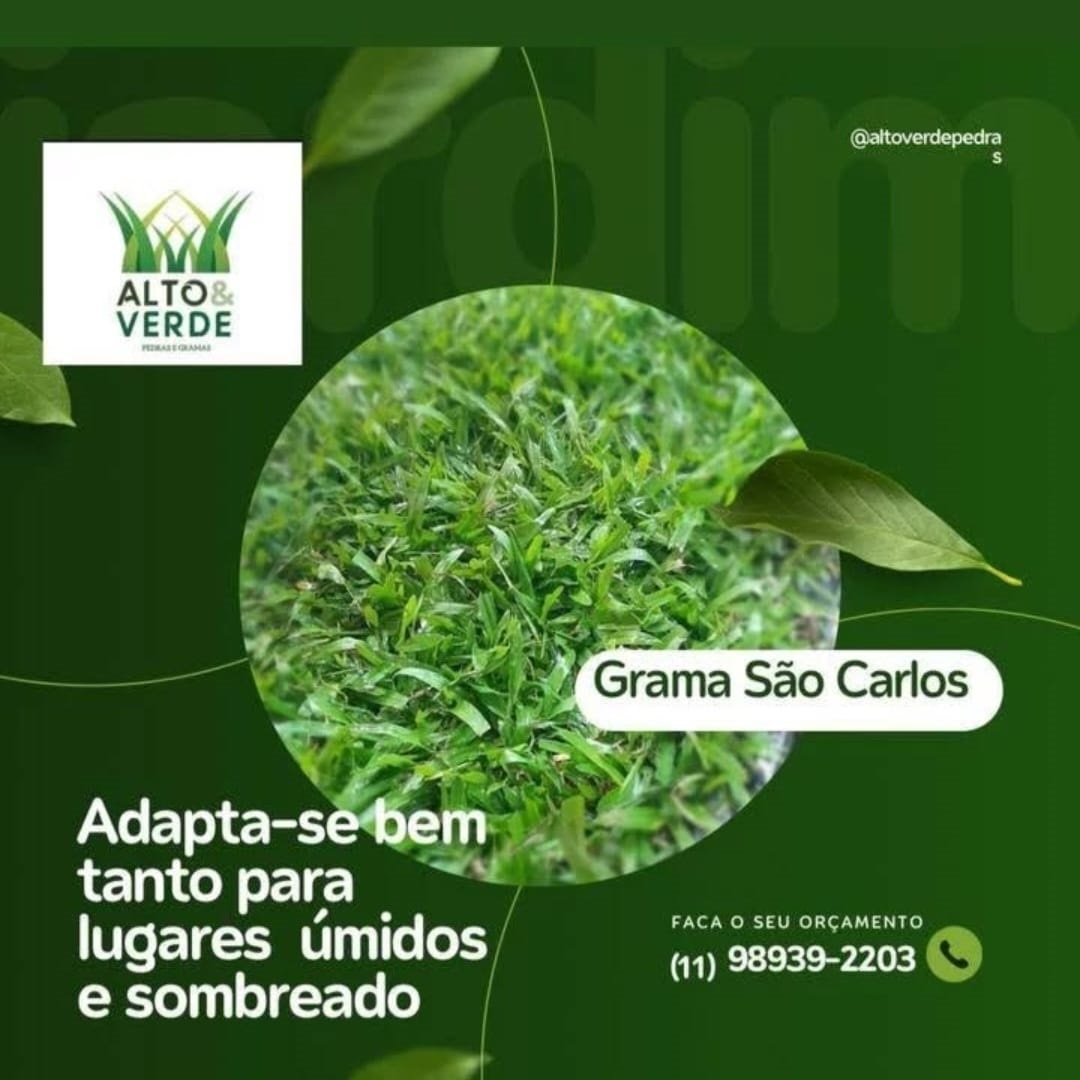 grama_sao_carlos
