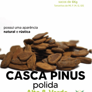 Casca de Pinus Polida