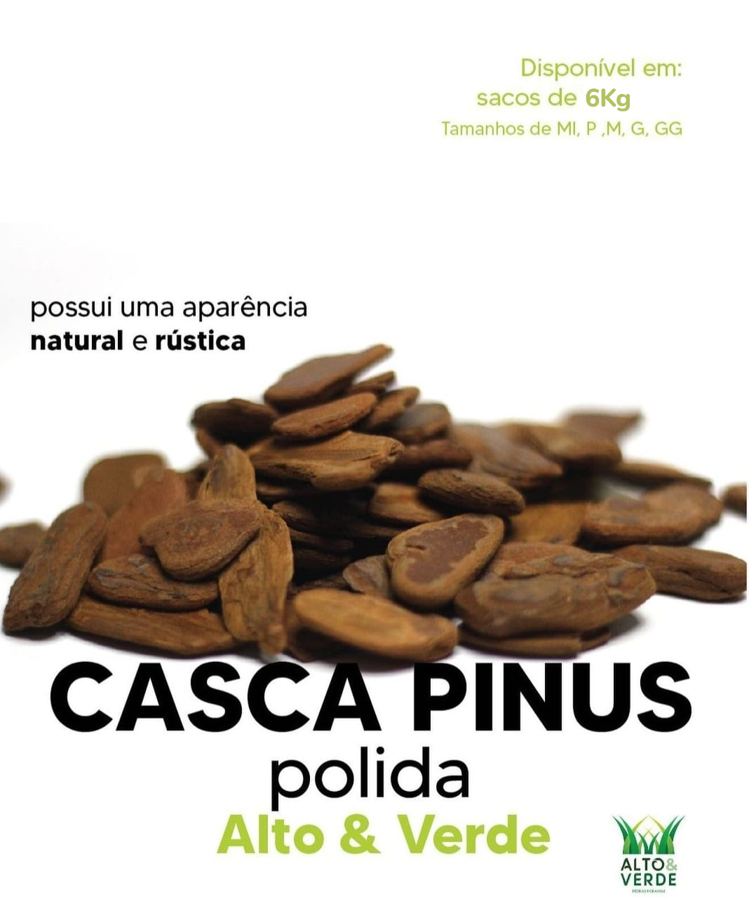 casca_pinus_polida3